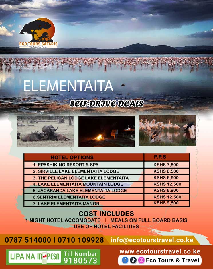 ELEMENTAITA